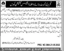 Interview Balochistan Institute of Nephrology Urology Quetta – Balochistan Institute of Nephrology Urology (BINUQ) Quetta Jobs 2022 — original advertisement