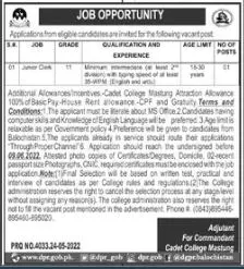 Jobs in Cadet College Mastung – Cadet College Mastung Balochistan Jobs 2022 — original advertisement