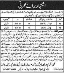 Jobs In Special Education Department Punjab Jobs 2022 — original advertisement