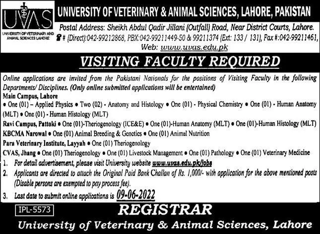 Jobs in University of Veterinary And Animal Sciences Lahore Jobs 2022 — original advertisement
