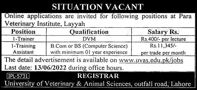 Jobs in university of Veterinary And Animal Sciences Lahore Jobs 2022 — original advertisement