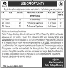 Jobs in Cadet College Mastung – Cadet College Mastung Balochistan Jobs 2022 — original advertisement