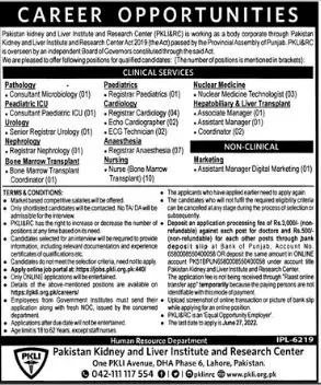 Jobs in Pakistan Kidney And Liver Institute And Research – Pakistan Kidney And Liver Institute (PKLI) And Research Centre Lahore Jobs 2022 — original advertisement