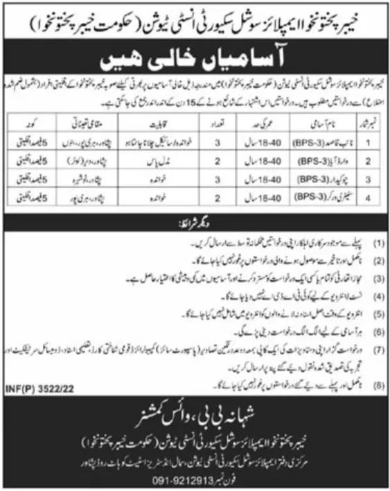 Khyber Pakhtunkhwa Employees Social Security Institution Job – Govt of Kpk Jobs 2022 — original advertisement