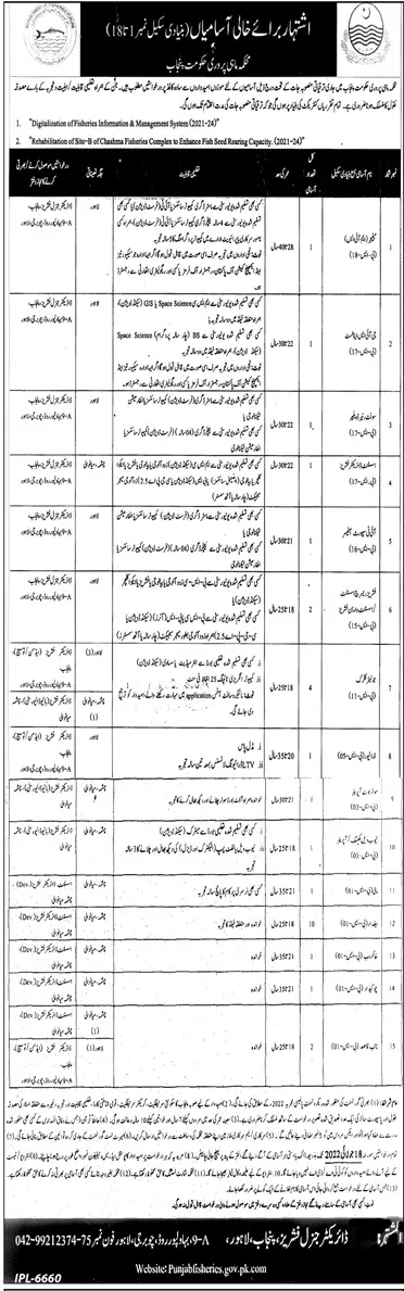 Fisheries Department Lahore and Miawali Jobs – Forest Wildlife & Fishries Department Punjab Jobs 2022 — original advertisement