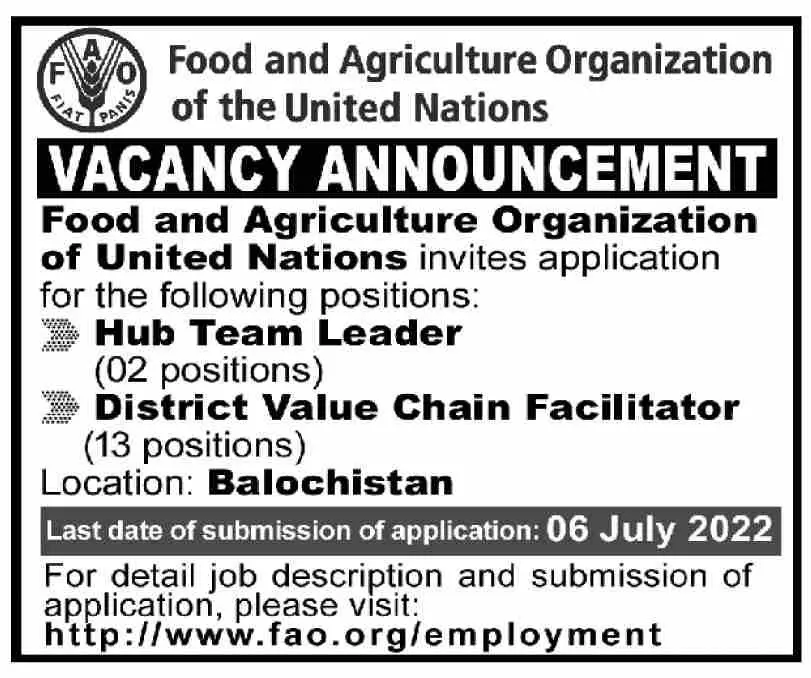 jobs in Food and Agriculture Organization FAO Balochistan – Food Department Balochistan Jobs 2022 — original advertisement