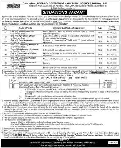 Jobs in Cholistan University Of Veterinary & Animal Sciences – Cholistan University of Veterinary and Animal Sciences Bahawalpur Jobs 2022 — original advertisement