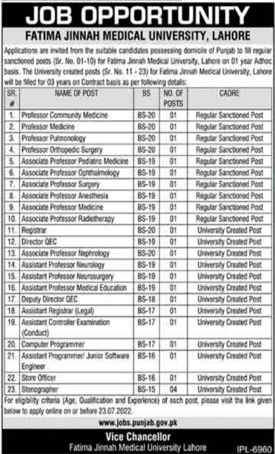 Jobs in Fatima Jinnah Medical University Lahore Jobs 2022 — original advertisement