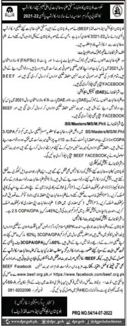 Scholarship in Balochistan Education Endowment Fund (BEEF) Scholarships 2022 — original advertisement
