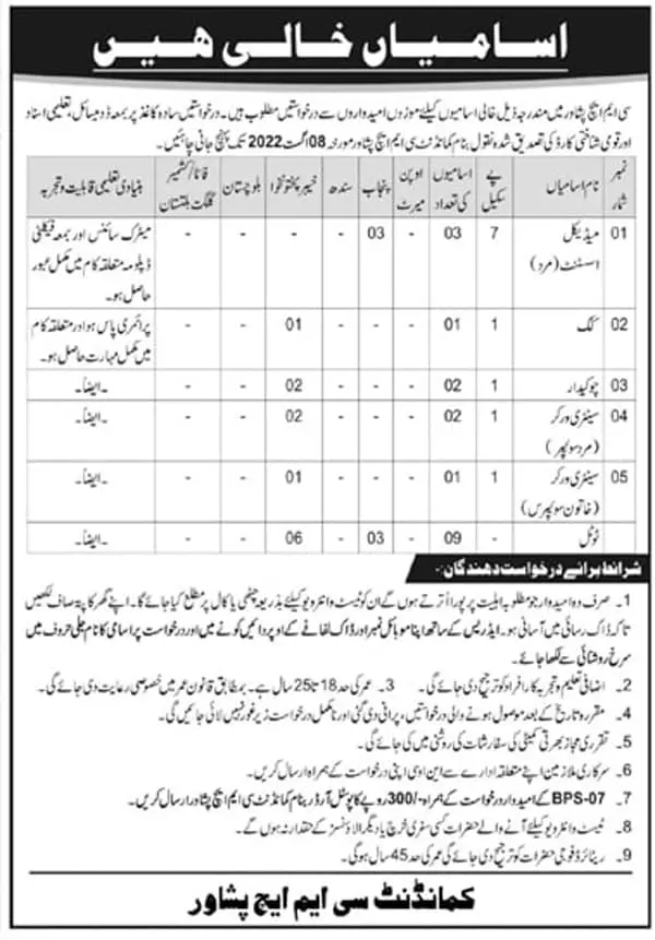 Jobs in Combined Military Hospital CMH Peshawar 2022 Jobs 2022 — original advertisement