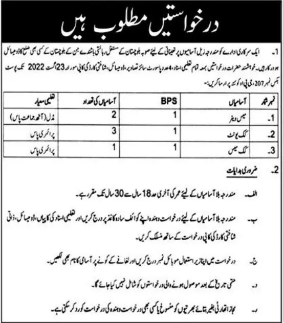 Jobs in Government Organization Balochistan 2022 – Public Sector Organization Jobs 2022 — original advertisement