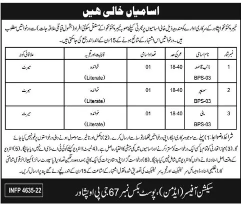 Jobs in Government Sector Khyber Pakhtunkhwa Peshawar – Federal Government Organization Jobs 2022 — original advertisement