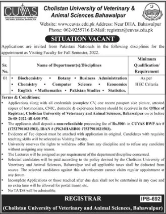 Jobs in Cholistan University of Veterinary & Animal Sciences – Cholistan University of Veterinary and Animal Sciences Bahawalpur Jobs 2022 — original advertisement