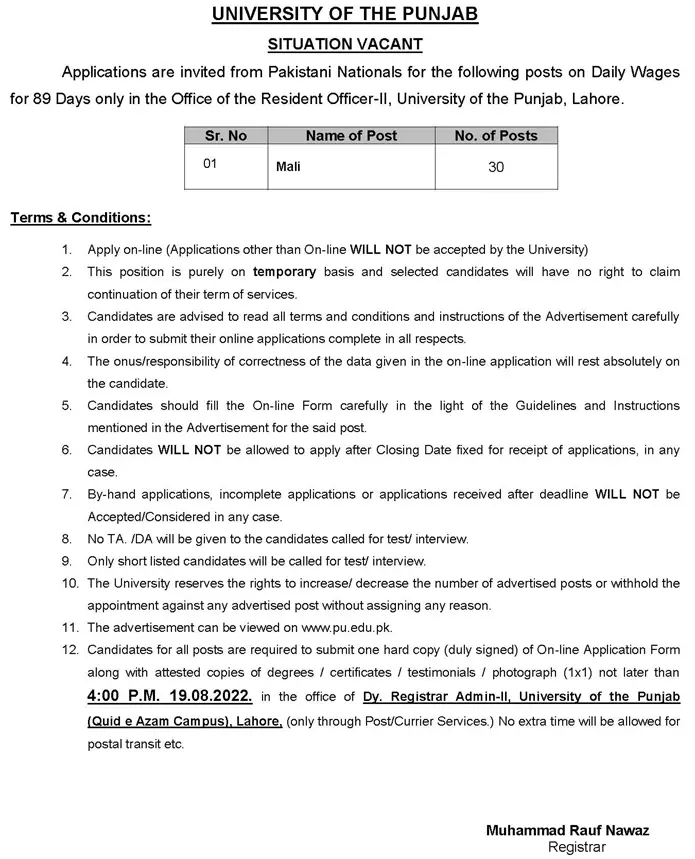 Jobs in University of Punjab Jobs 2022 — original advertisement