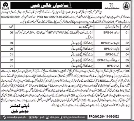 Jobs in Revenue Department DC Office District MusaKhail – Revenue Department Balochistan Jobs 2022 — original advertisement