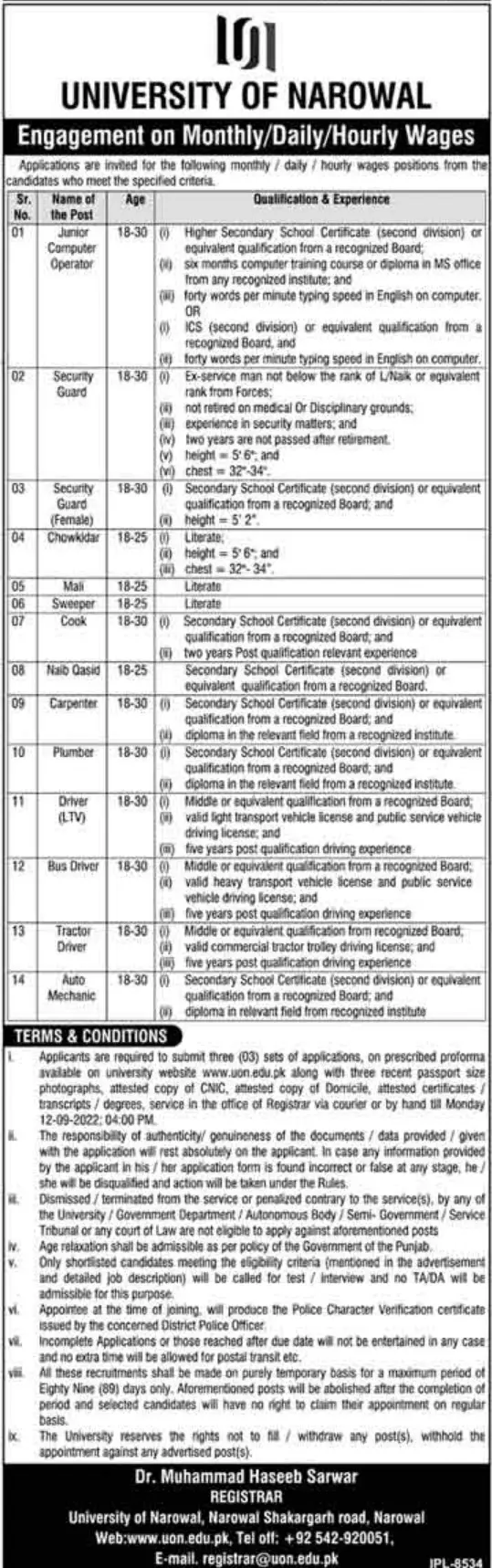 Jobs in University of Narowal Jobs 2022 — original advertisement
