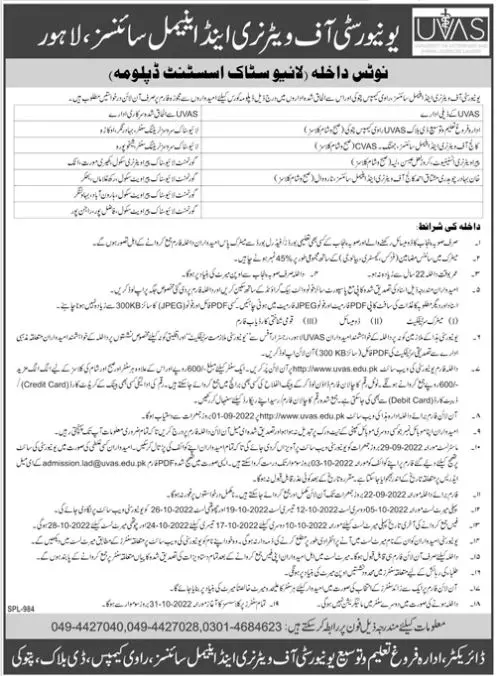 Admission in University of Venterinary and Animal Sciences – University of Veterinary and Animal Sciences Lahore Admissions 2022 — original advertisement