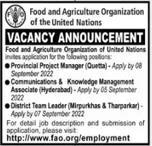 Food and Agriculture Organization FAO Jobs 2022 Jobs 2022 — original advertisement