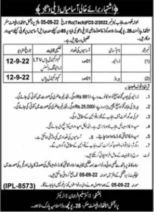Health Department Punjab Jobs 2022 Jobs 2022 — original advertisement