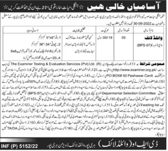 Jobs in Forest Department Khyber Pakhtunkhwa Jobs 2022 — original advertisement