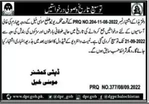 Extension Date in Deputy Commissioner DC Office Musa Khail – Revenue Department Balochistan Jobs 2022 — original advertisement