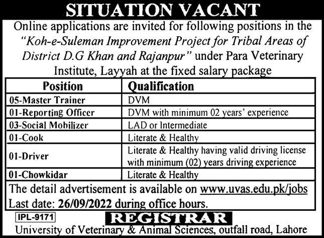 University of Veterinary &  Animal Sciences Lahore Jobs 2022 – University of Veterinary and Animal Sciences Lahore Jobs 2022 — original advertisement
