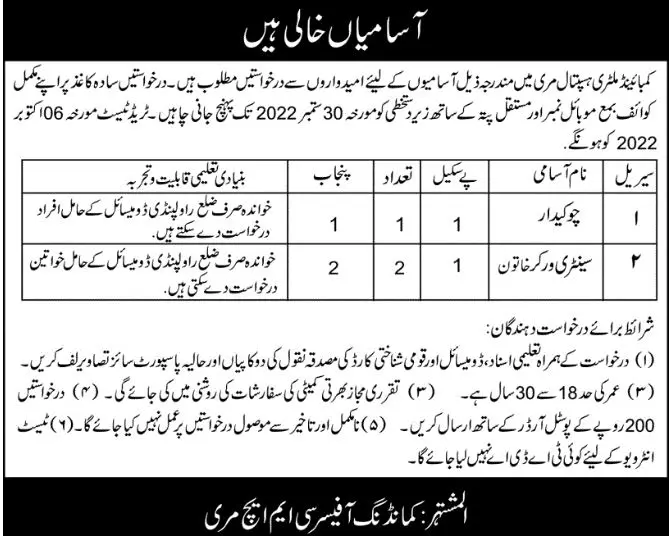 Jobs in Combined Military Hospital CMH Murree 2022 Jobs 2022 — original advertisement