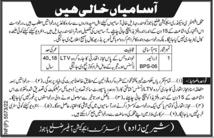 Jobs in Elementary & Secondary Education Department Bajour – Elementary & Secondary Education Department KPK Jobs 2022 — original advertisement