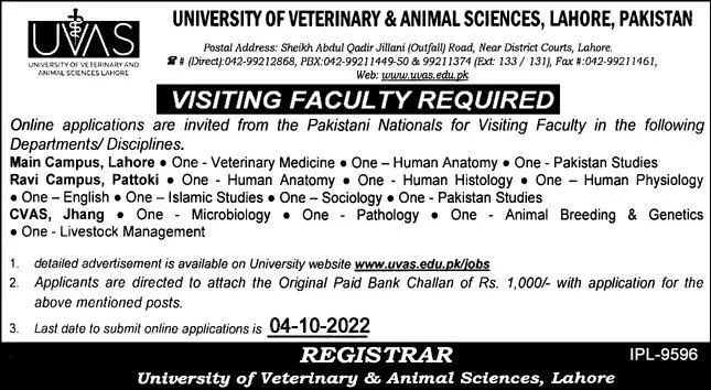 Faculty Required University of veterinary & Animal Sciences – University of Veterinary and Animal Sciences Lahore Jobs 2022 — original advertisement