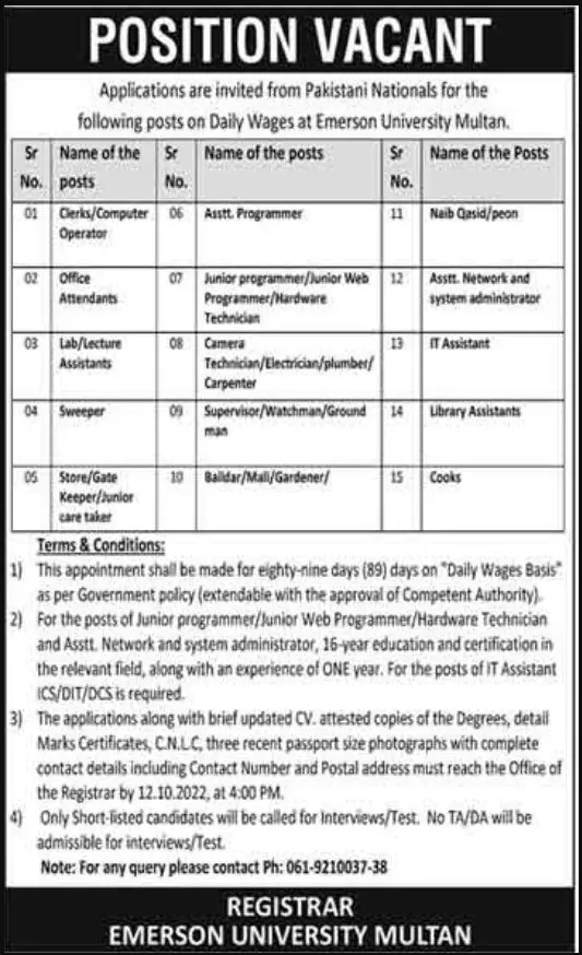 Jobs in Emerson University Multan Punjab 2022 Jobs 2022 — original advertisement