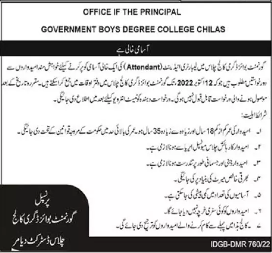 Jobs in Government Boys Degree College Diamer, gilgit Jobs 2022 — original advertisement