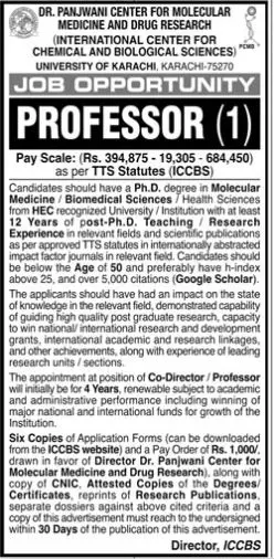 Jobs in University of Karachi Jobs 2022 — original advertisement