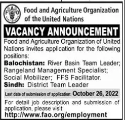 Jobs in Food And Agriculture Organization FWO – Food and Agriculture Organization FAO Jobs 2022 — original advertisement