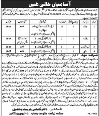 Agriculture Department Punjab Jobs 2022 Jobs 2022 — original advertisement