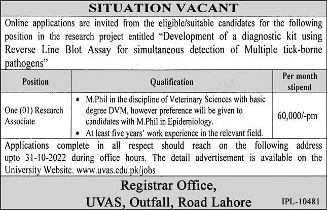 University of veterinary And Animal Science Lahore Jobs 2022 – University of Veterinary and Animal Sciences Lahore Jobs 2022 — original advertisement