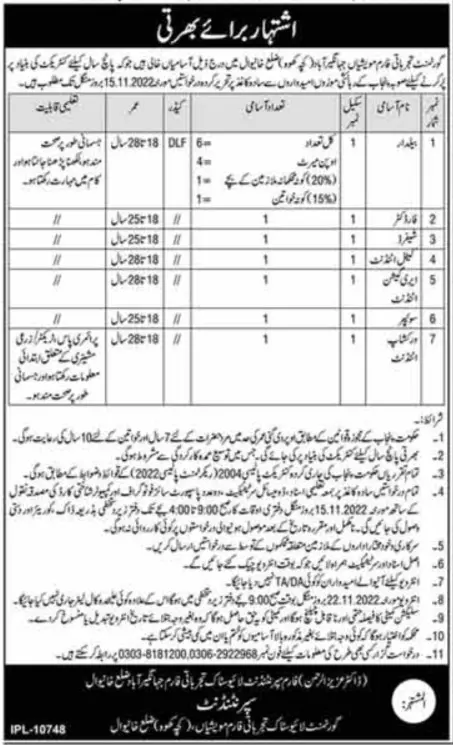Live Stock Farm Khanewal Jobs 2022 – Livestock and Dairy Development Department Punjab Jobs 2022 — original advertisement
