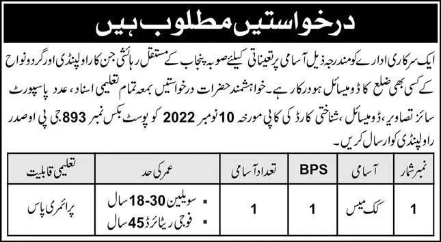 Government Instruction Punjab Jobs 2022 – Govt of Punjab Jobs 2022 — original advertisement