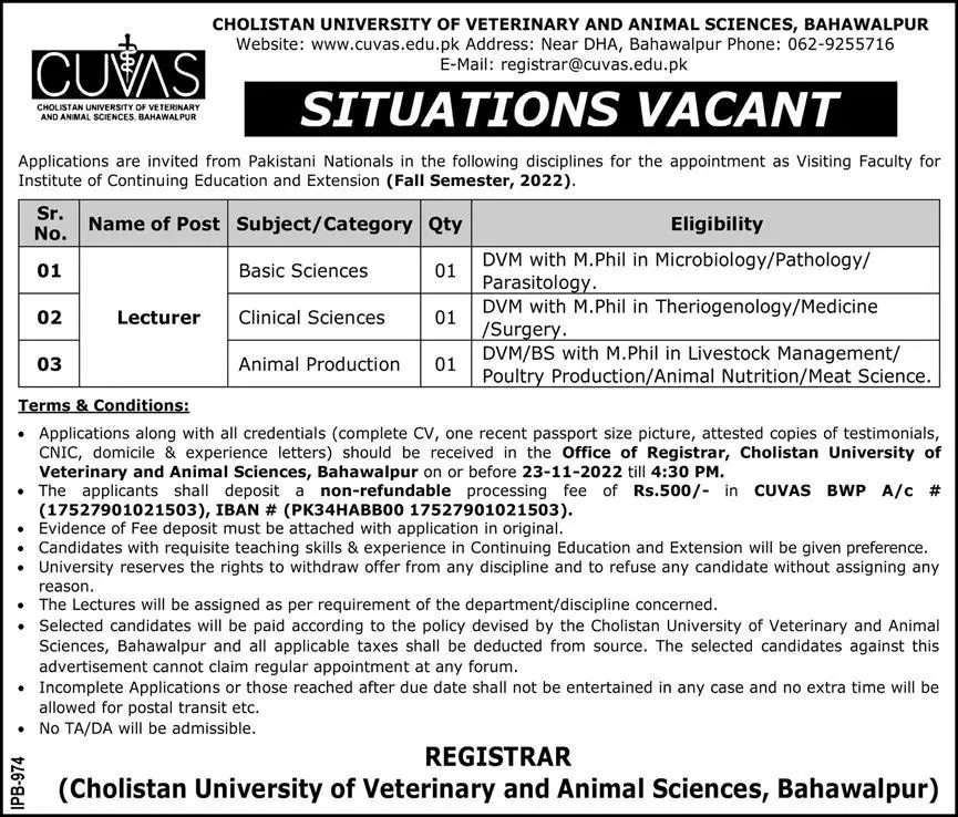 Cholistan University of Veterinary & Animal Sciences Jobs – Cholistan University of Veterinary and Animal Sciences Bahawalpur Jobs 2022 — original advertisement