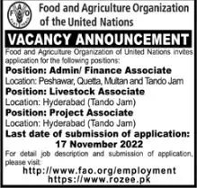 Food and Agriculture Organization FAO Jobs 2022 Jobs 2022 — original advertisement