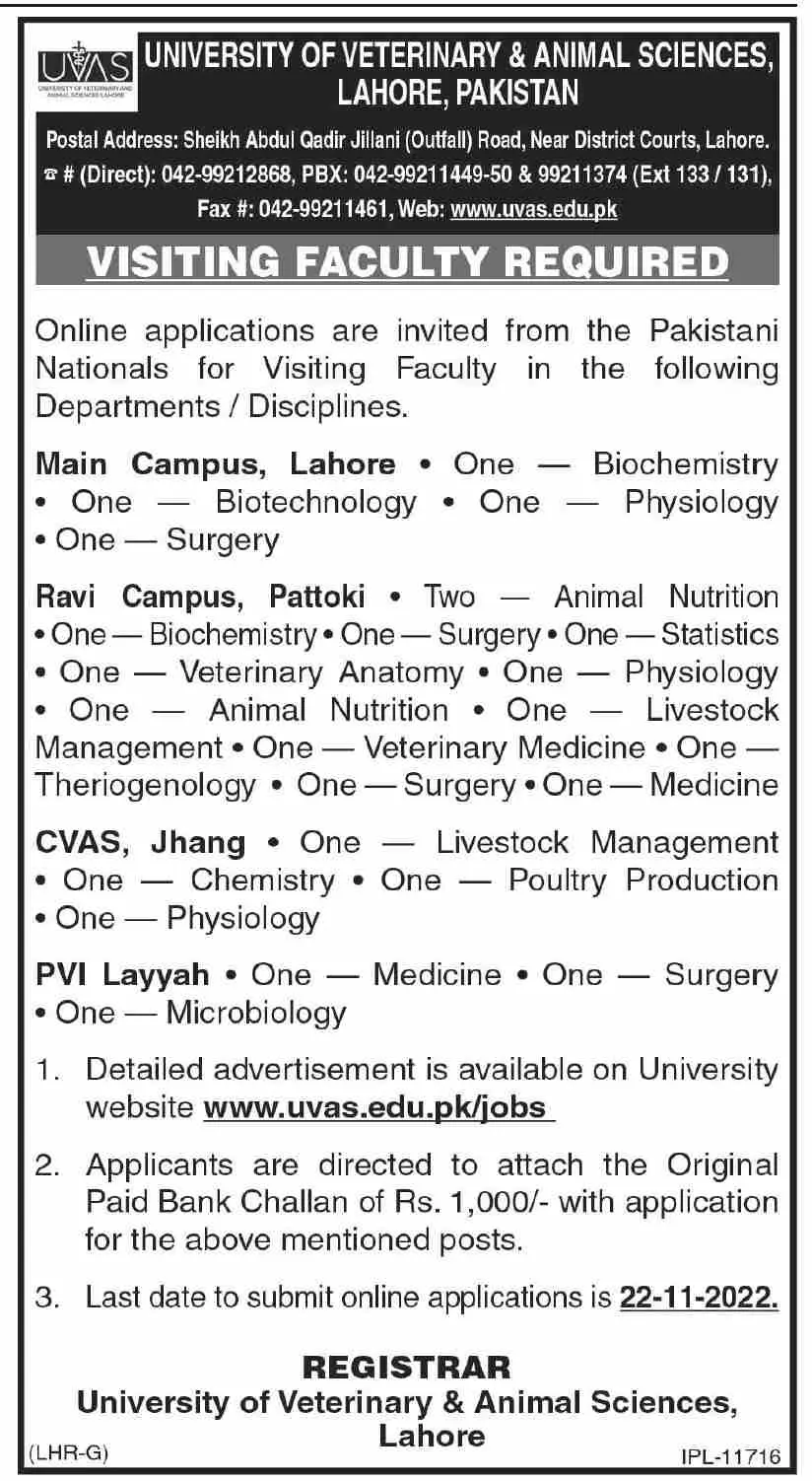University of Veterinary and Animal Sciences Jobs 2022 – University of Veterinary and Animal Sciences Lahore Jobs 2022 — original advertisement