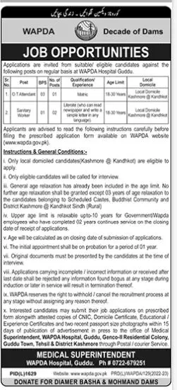 water and Power Development Authority Wapda Jobs 2022 Jobs 2022 — original advertisement