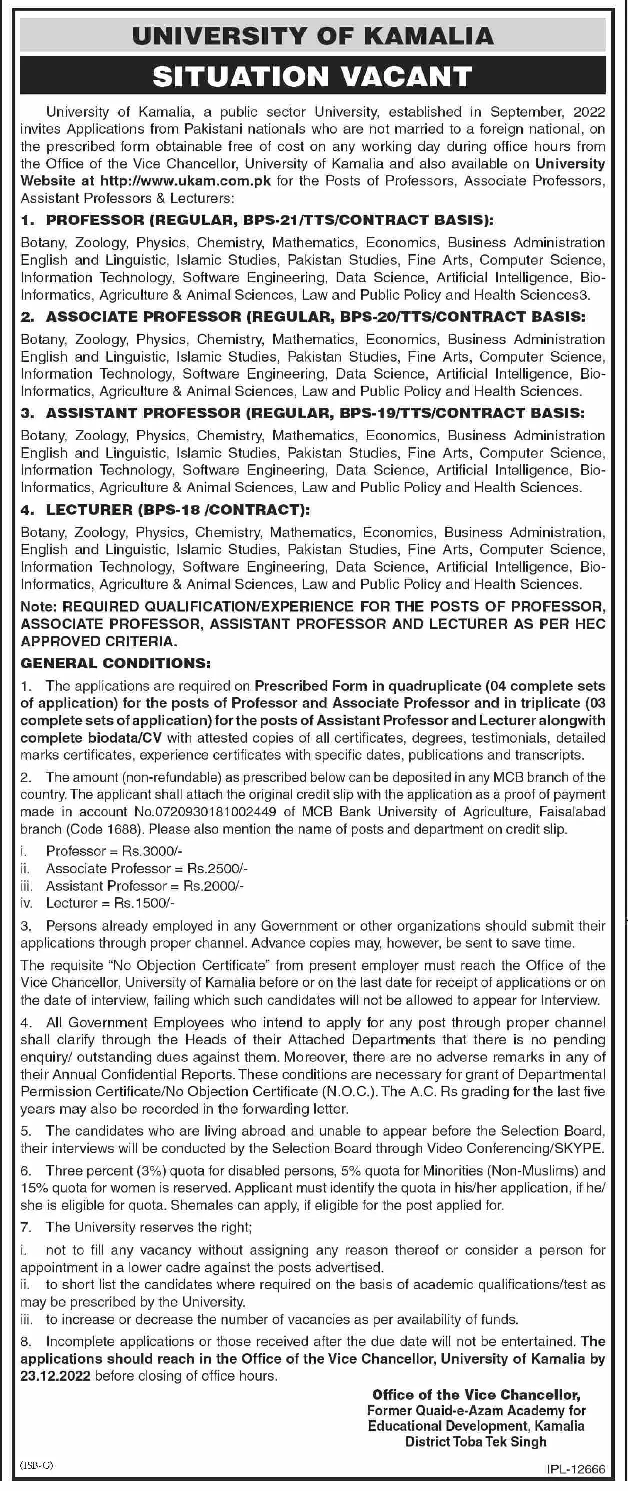 University of Kamalia District Toba Tek Sindh Jobs 2022 Jobs 2022 — original advertisement