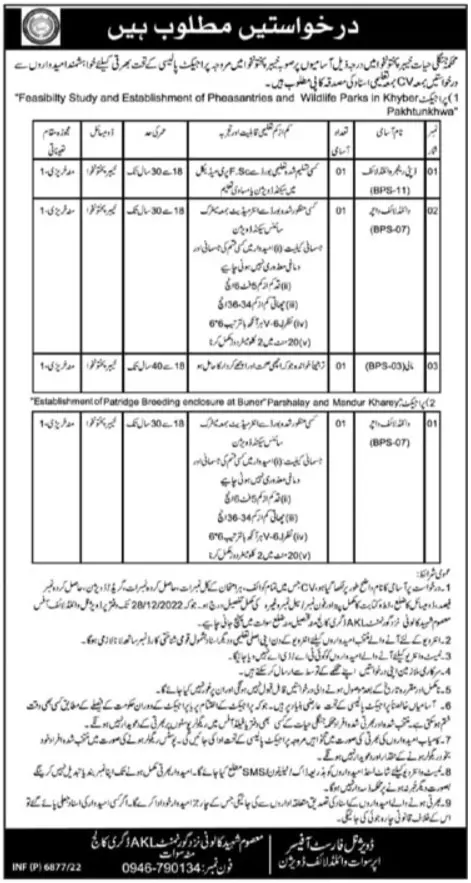 Forest Department Khyber Pakhtunkhwa Swat Jobs 2022 Jobs 2022 — original advertisement