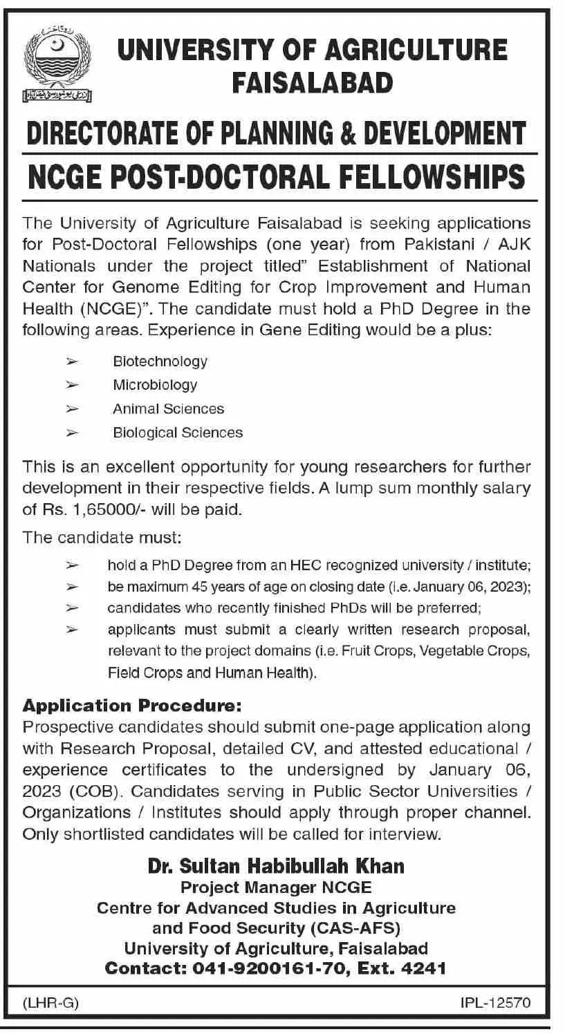 University of Agriculture Faisalabad Jobs 2022 Scholarships 2022 — original advertisement