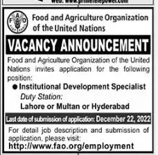 Food and Agriculture Organization FAO Jobs 2022 Jobs 2022 — original advertisement
