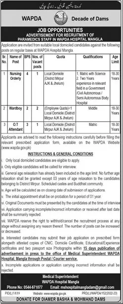 Water & Power Development Authority WAPDA Jobs 2022 – Water and Power Development Authority Jobs 2022 — original advertisement