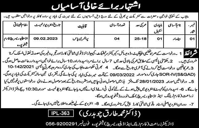 Agriculture department Sheikhpura Punjab Jobs 2023 – Agriculture Department Punjab Jobs 2023 — original advertisement