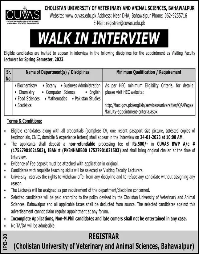 Cholistan University of Veterinary and Animal Sciences Jobs – Cholistan University of Veterinary and Animal Sciences Bahawalpur Jobs 2023 — original advertisement