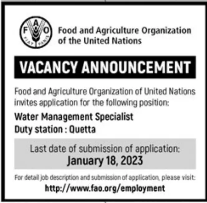 Food and Agriculture organization FAO Jobs 2023 Jobs 2023 — original advertisement
