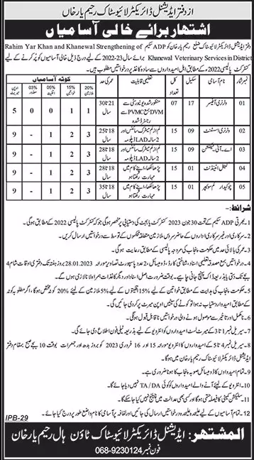 Livestock and Dairy Development Rahim Yar Khan Punjab Jobs – Livestock and Dairy Development Department Punjab Jobs 2023 — original advertisement